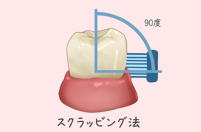 スクラッビング法の図解（歯ブラシ90度）

